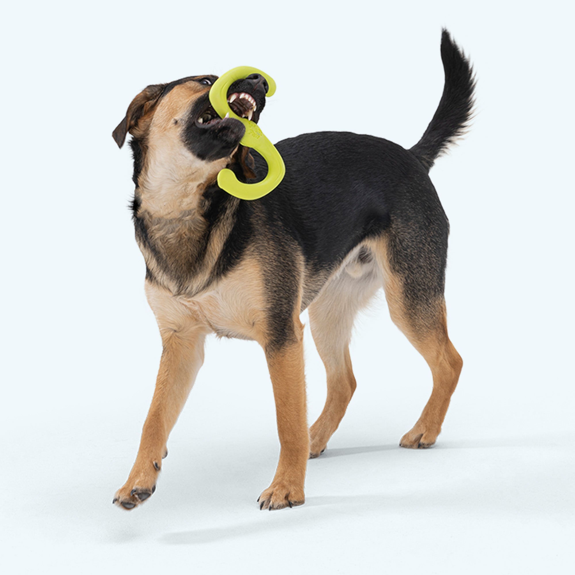 Durable flexible tug rope toy for interactive dog play