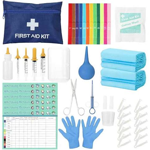 Full Whelping Kit — incubator, whelping supplies and neonatal feeding kit