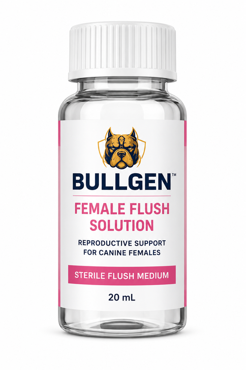 BullGen Female Vaginal Flush - Pre-AI Sterile Canine Flush Solution
