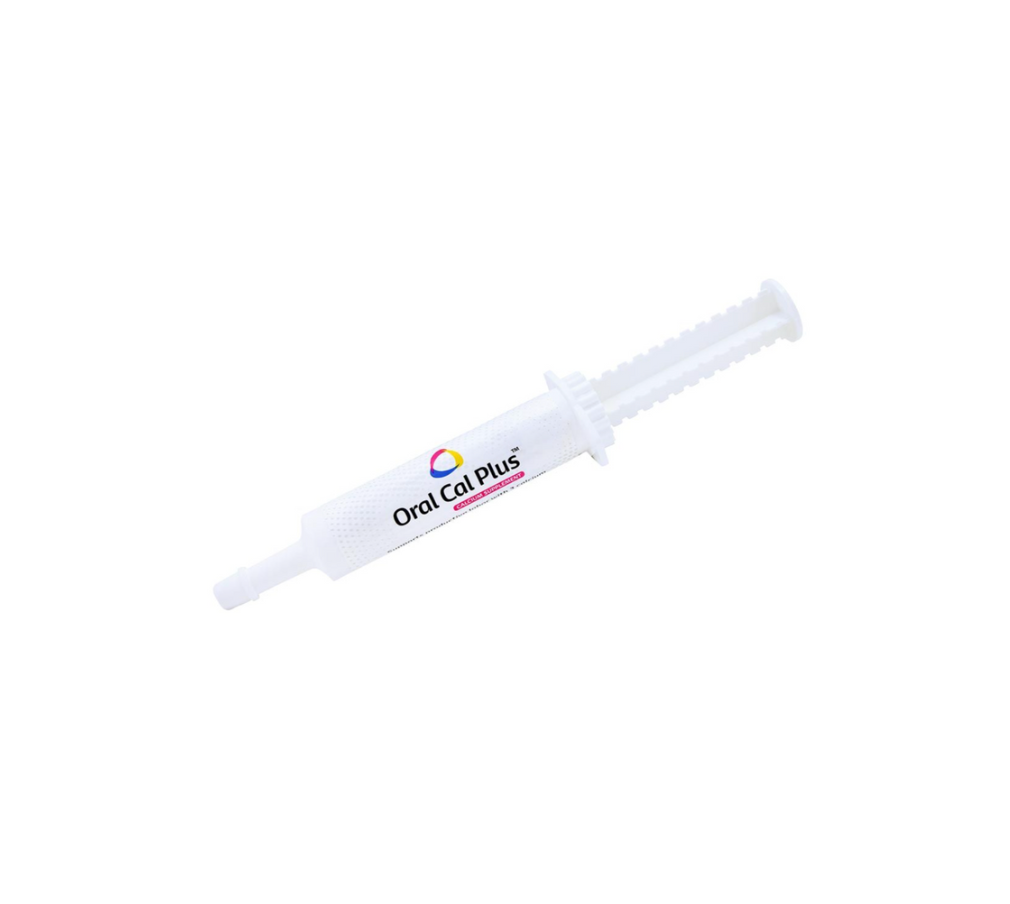 Breeder Calcium Supplement - Oral Cal Plus Calcium Gel for Dogs