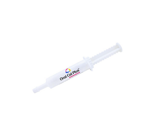 Breeder Calcium Supplement - Oral Cal Plus Calcium Gel for Dogs
