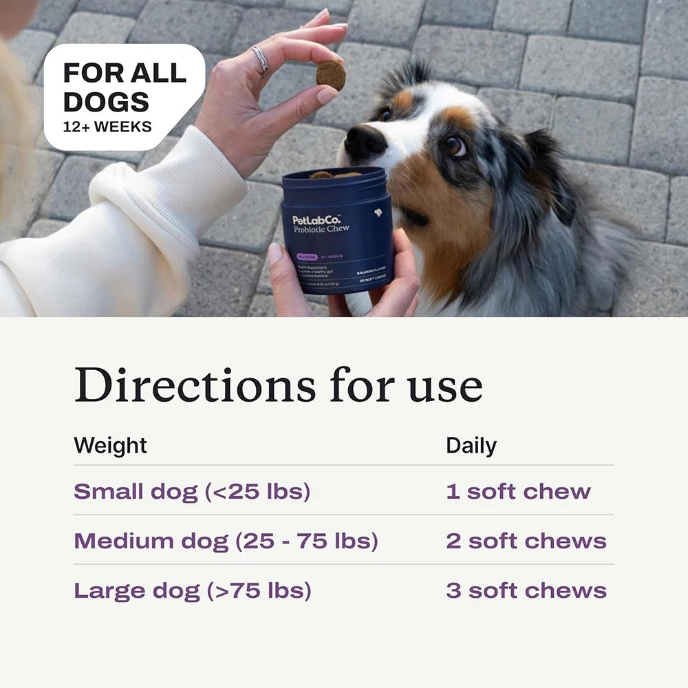 Probiotics and gut health supplement for dogs