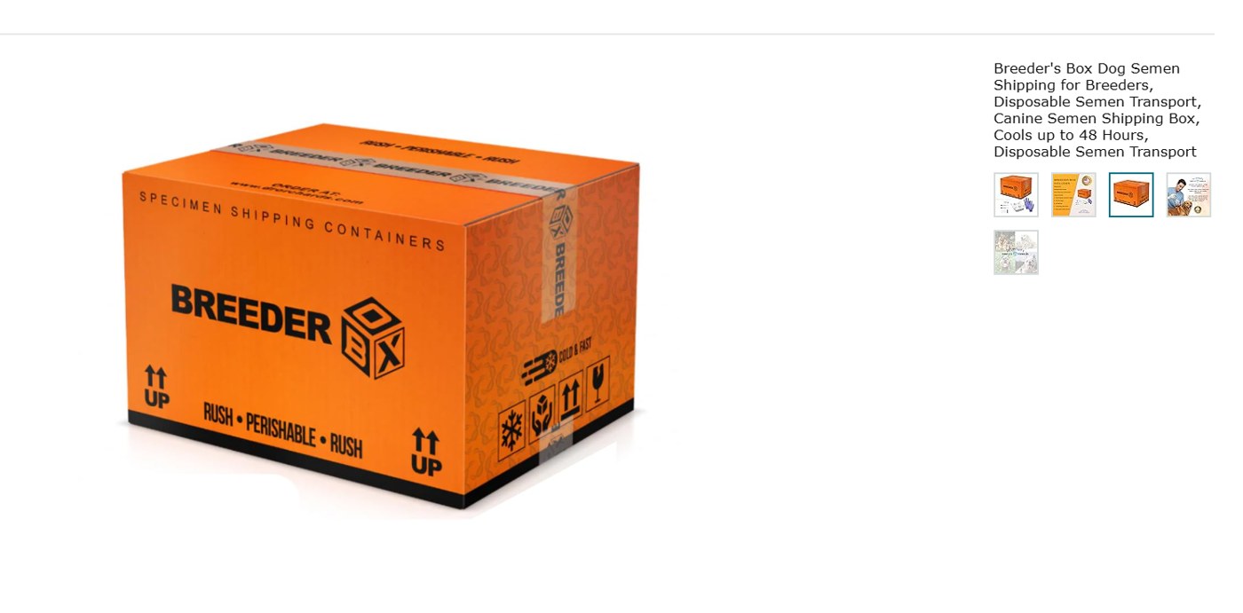 Canine semen shipping box