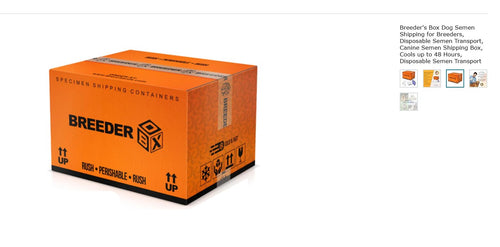 Canine semen shipping box
